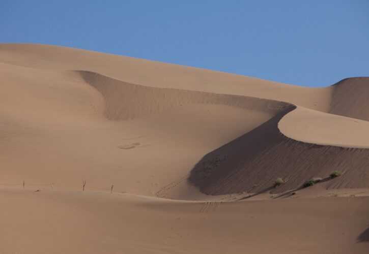 荒涼とした砂漠の真ん中