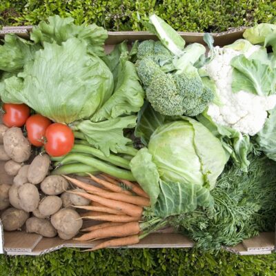 いろんな種類の野菜が入った箱